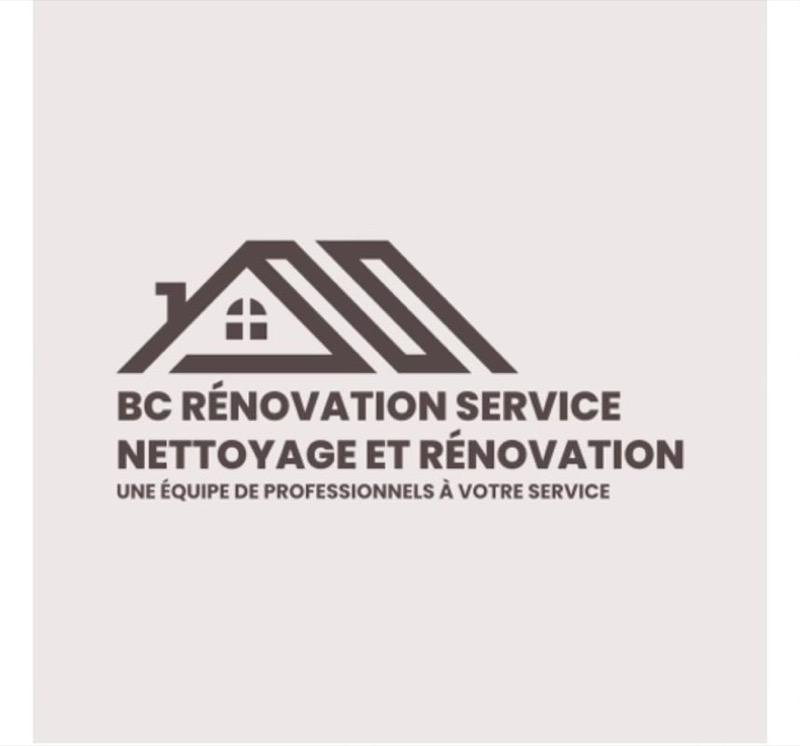 Nettoyage et démoussage de toiture dans le 95