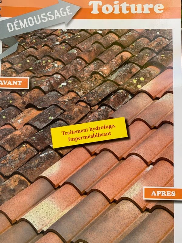 Démoussage toiture avant après