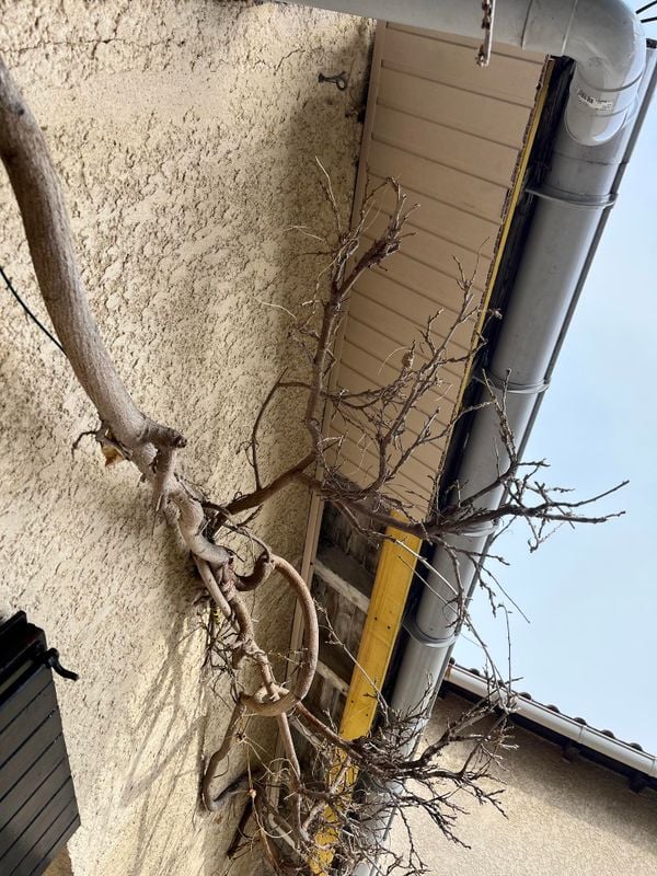 Démoussage et traitement hydrofuge toiture Val-d'Oise